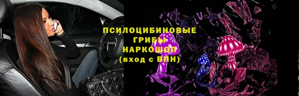 индика Армянск