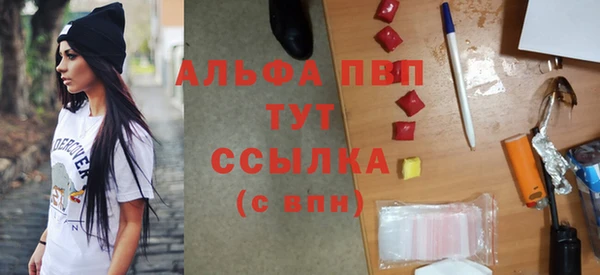 индика Армянск
