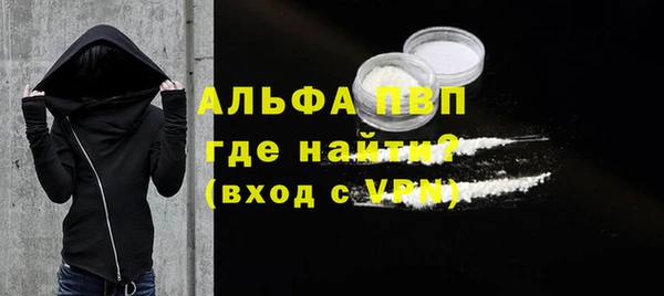 сатива Арсеньев