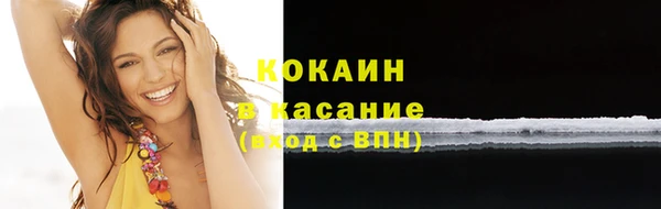 индика Армянск