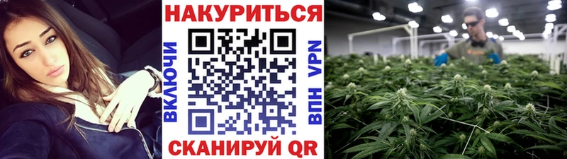 где купить наркоту  MEGA как зайти  Канабис AK-47  Облучье 